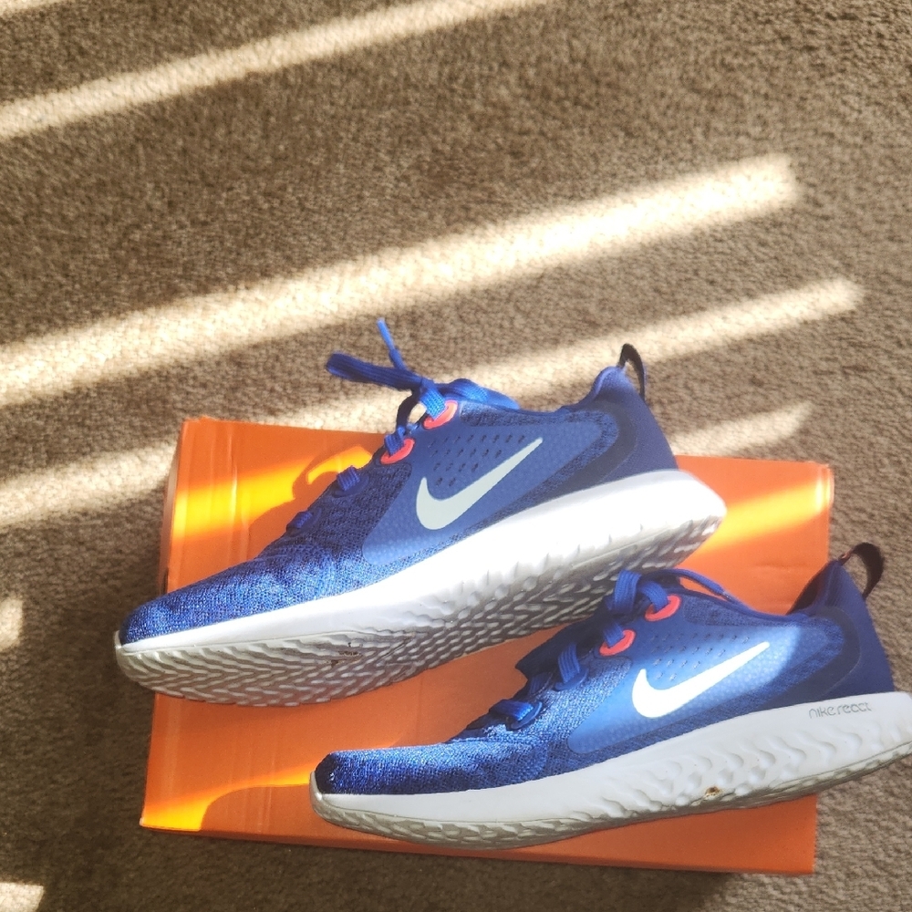 Nike Kids Blue Running Shoes